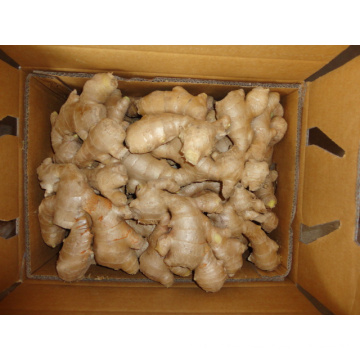 250g und oben Air Dry Ginger für EU